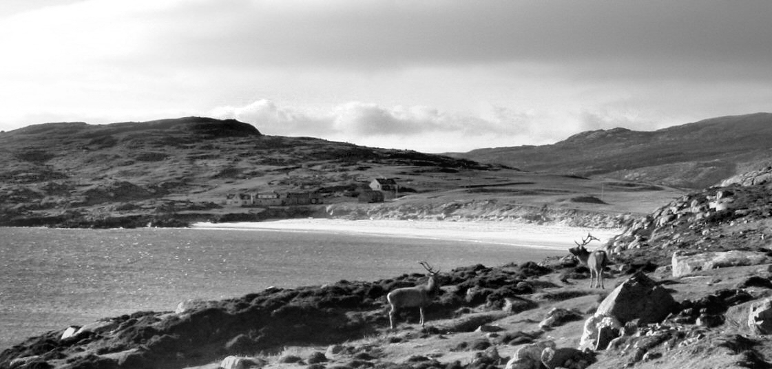 Two stags survey their kingdom. Harris, Scotland