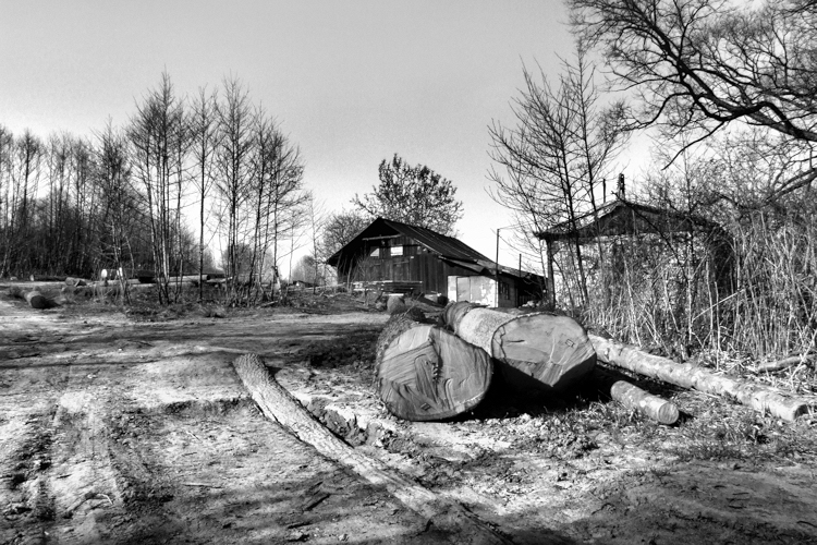 A lumber yard near Bobrka.