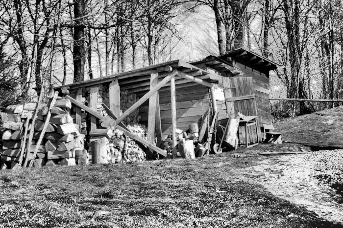 A shed with a distinctly wood-cutting theme.