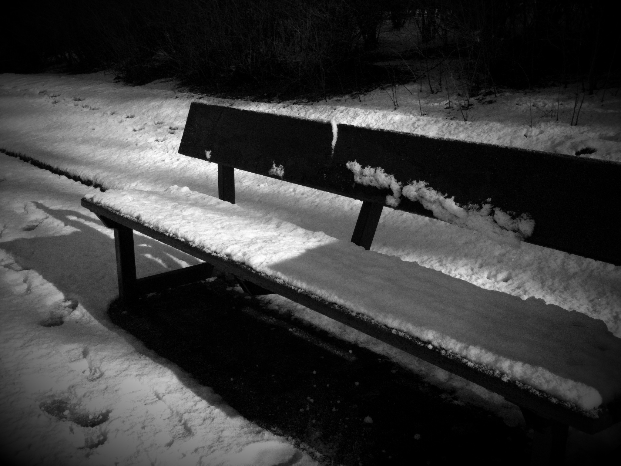 Photograph: Bench And Snow