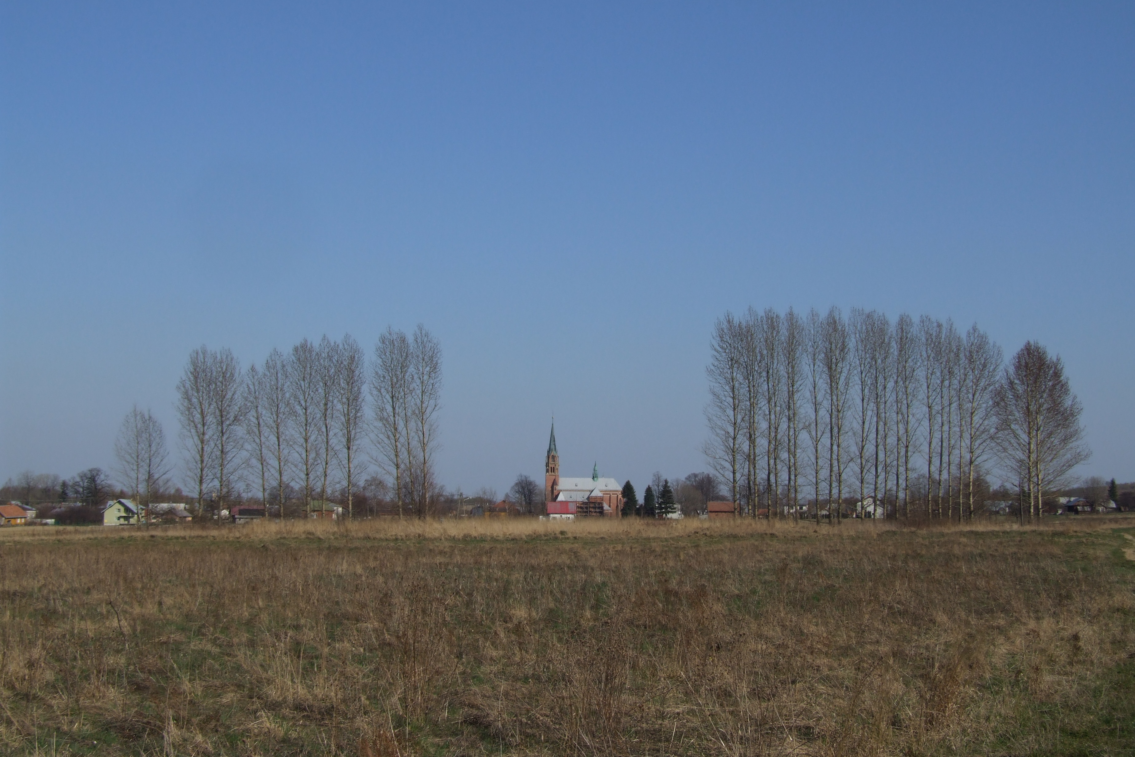 Photograph: Church And Trees