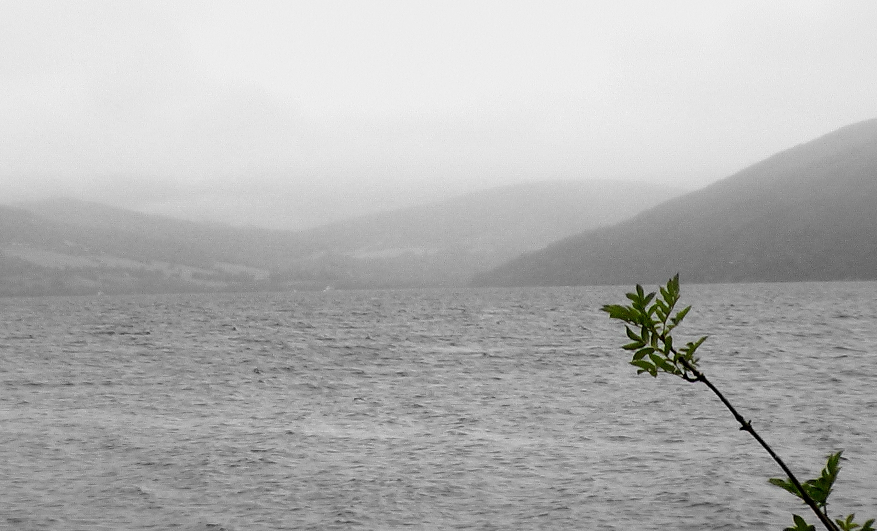 Photograph: Loch Ness View