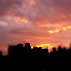 Photograph ofSunset_Silhouette