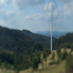 Photograph ofTilt_At_The_Windmills